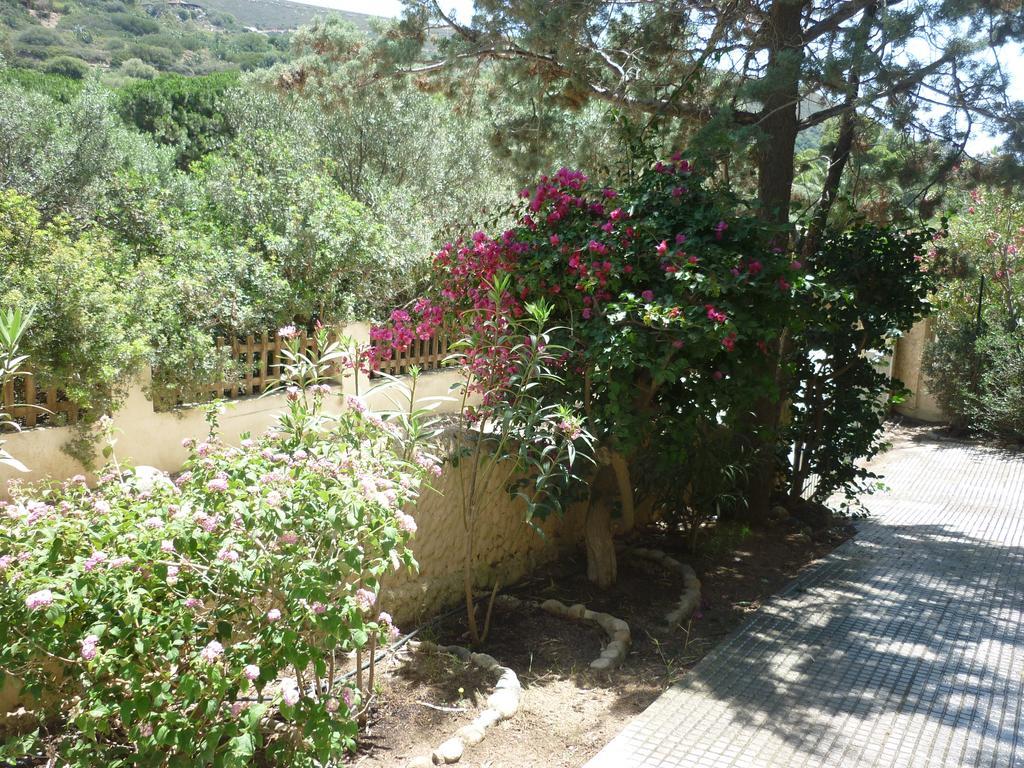 Villa Bonu Torre delle Stelle Eksteriør bilde